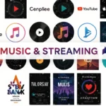Impact of Streaming Services
