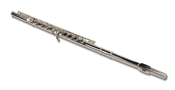 Benjamin Adams FL100 Student Flute